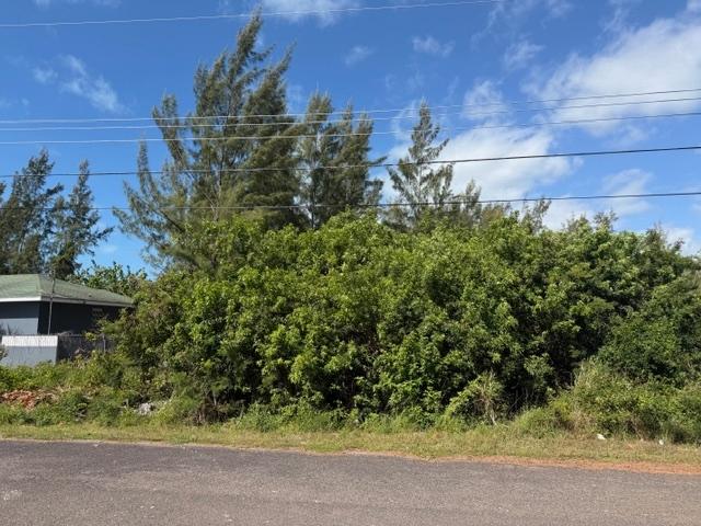 MLS# 66756 Marshall Road New Providence/Paradise Island