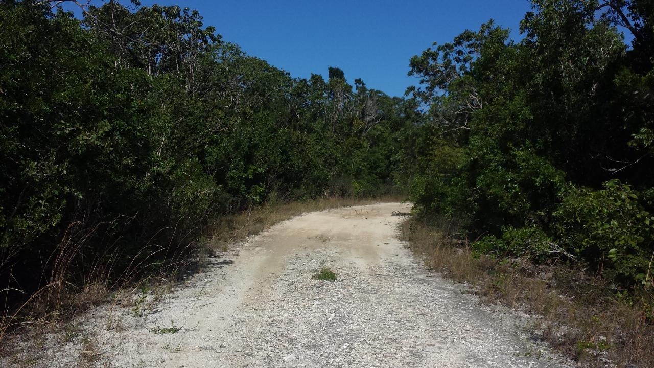 MLS# 66767 Vacant Lot Orange Creek Cat Island