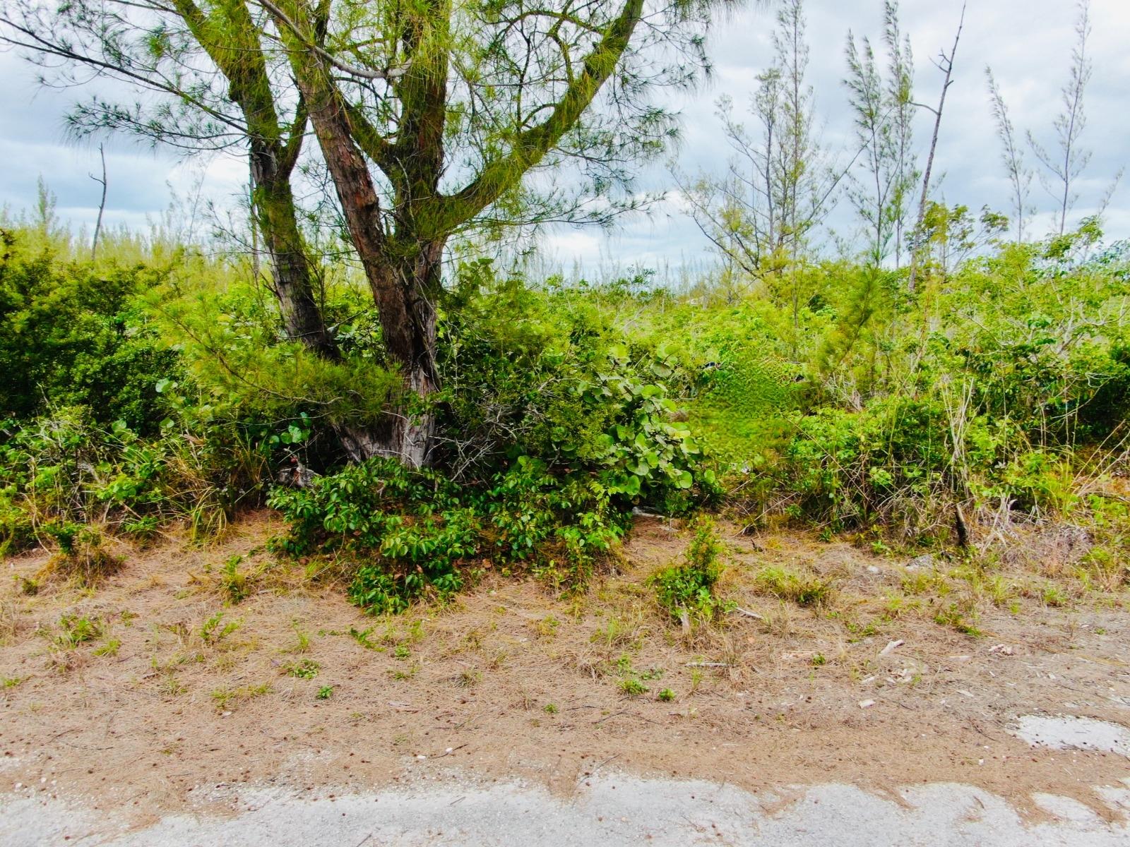MLS# 66838  Derby Grand Bahama/Freeport