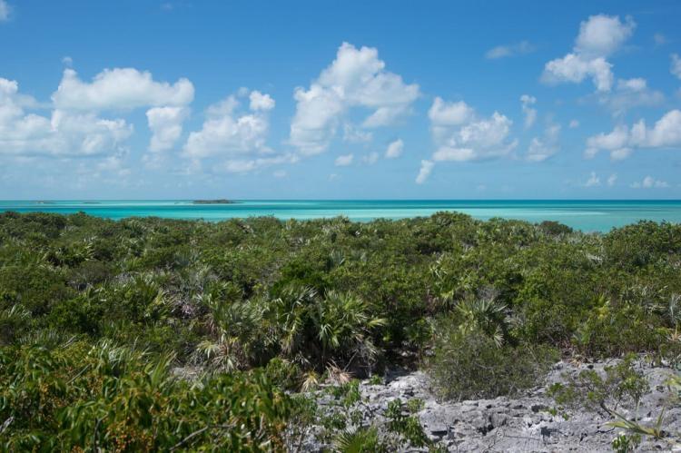 MLS# 66857  Bahama Sound Exuma & Exuma Cays