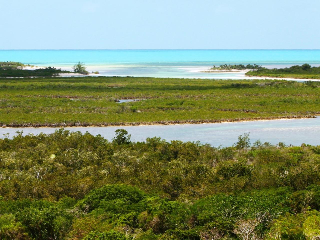 MLS# 67072  Little Exuma Exuma & Exuma Cays