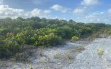 Click to learn more...