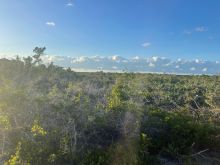 Click to learn more...