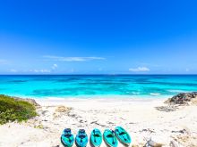 Click to learn more...